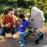 Landou pliabil pentru căuciorul Joolz Aer2, diverse culori - imagine 5